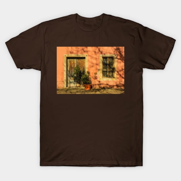 Door and Window in Buzet, Croatia T-Shirt by jojobob